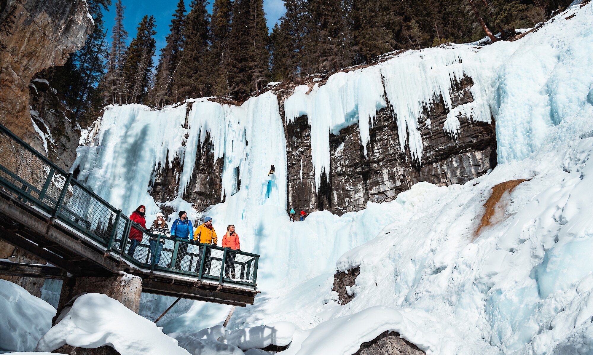 A group at Johnston Canyon