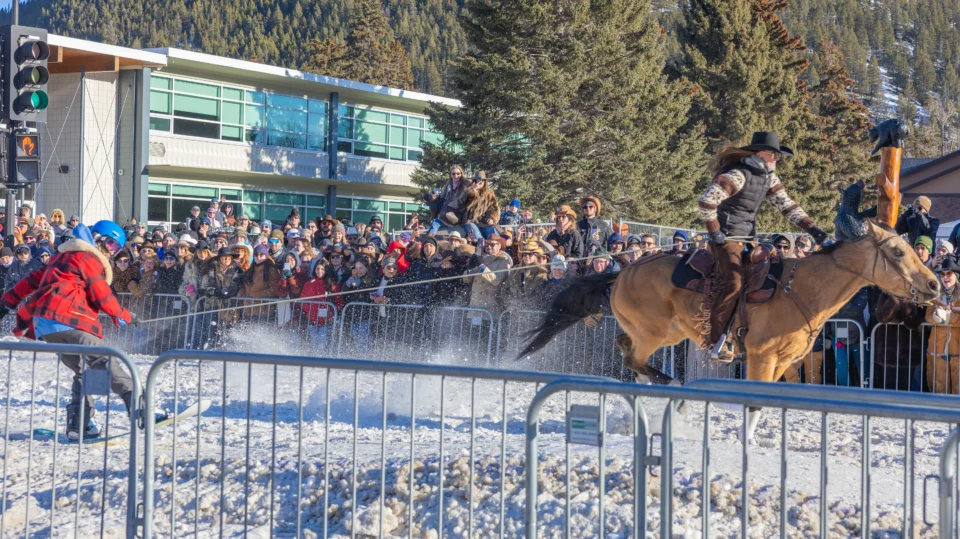 Skijoring in Banff is a unique experience - horses and ski jumpers!