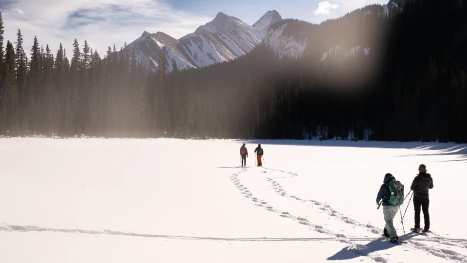 Snowshoeing in Kananaskis