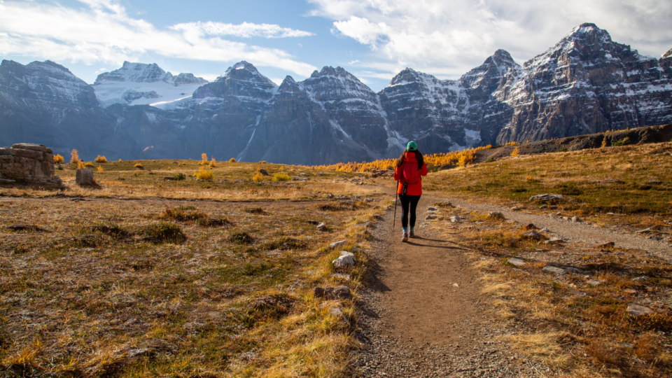 Larch Valley and Sentinel Pass are fabulous hikes above Moraine Lake