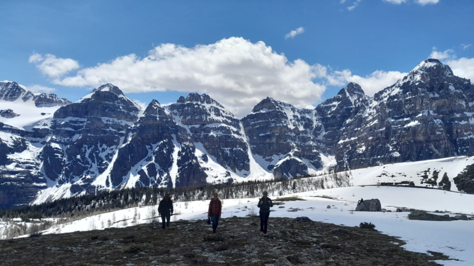 Larch Valley and Sentinel Pass are fabulous hikes above Moraine Lake