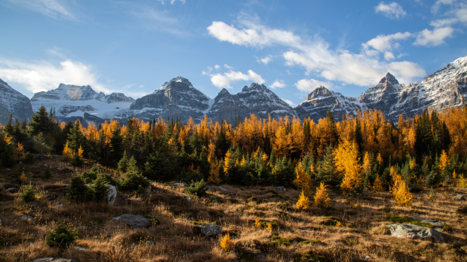 Larch Valley and Sentinel Pass are fabulous hikes above Moraine Lake