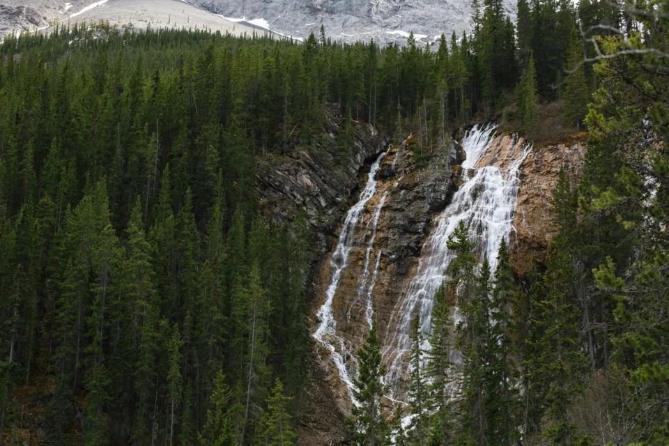 Goats Creek from the Juniper to Canmore