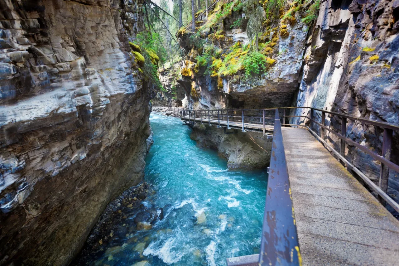 Johnston Canyon from the Juniper