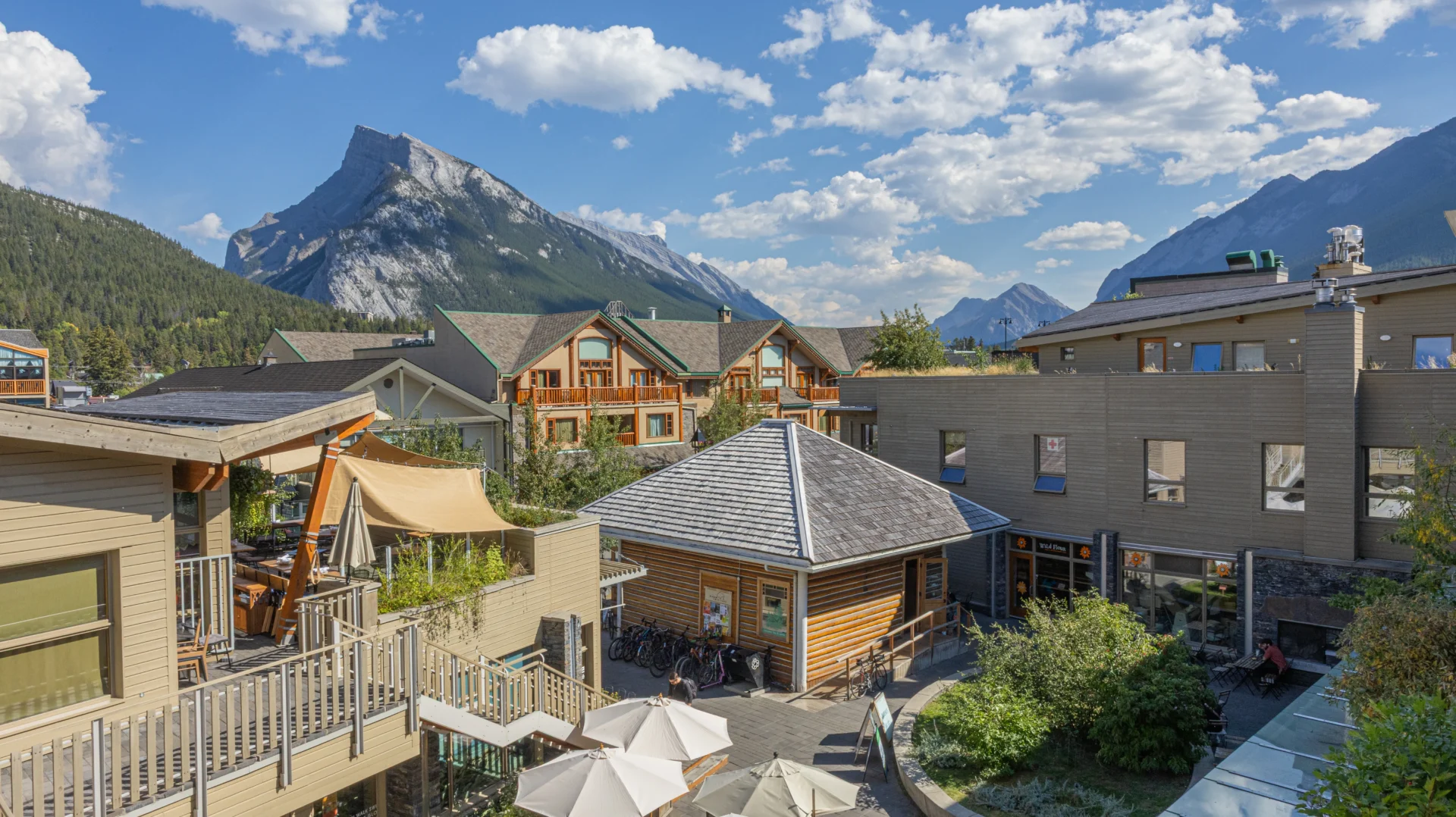 Bison Courtyard houses staff, hosts local businesses and services, and is the home of Wild Flour Artisan Bakery