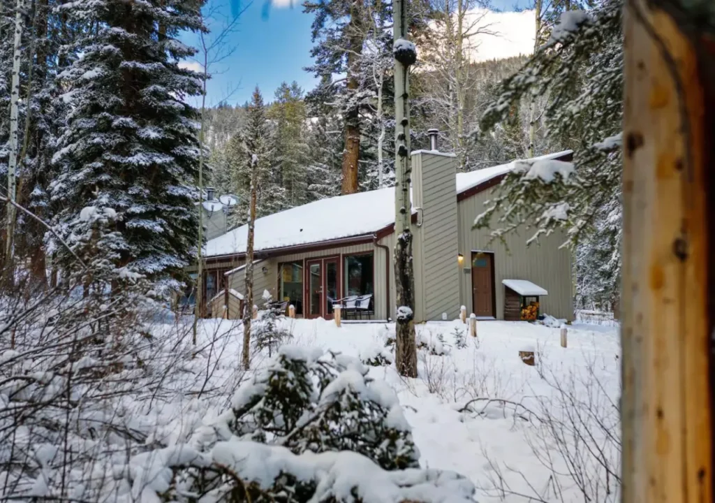 The Forest Cabins in the snow