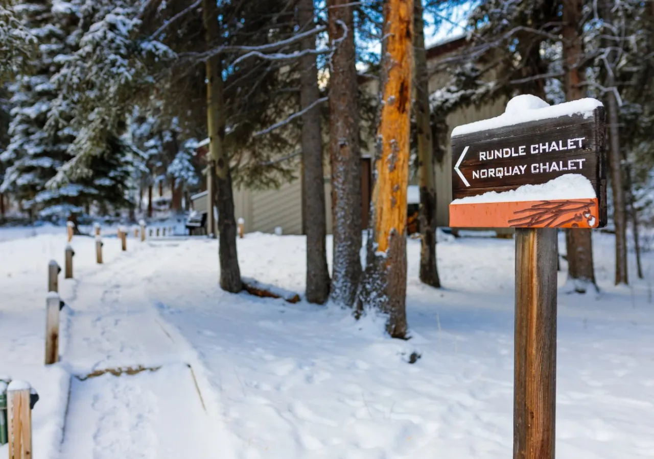 The Forest Cabins in the snow