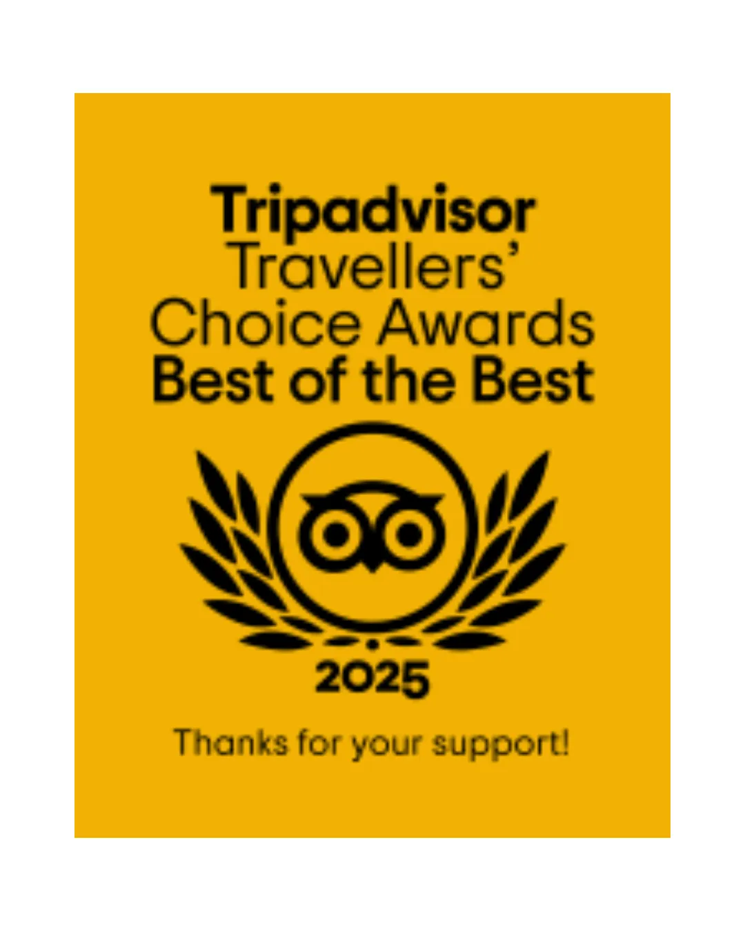 Tripadvisor Travellers' Choice Award