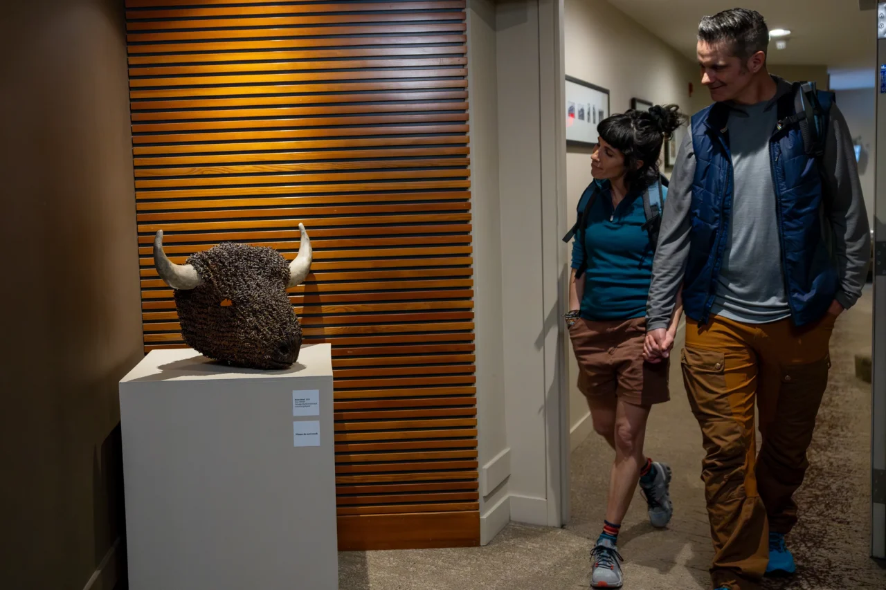 Bison Head_Don Hefner