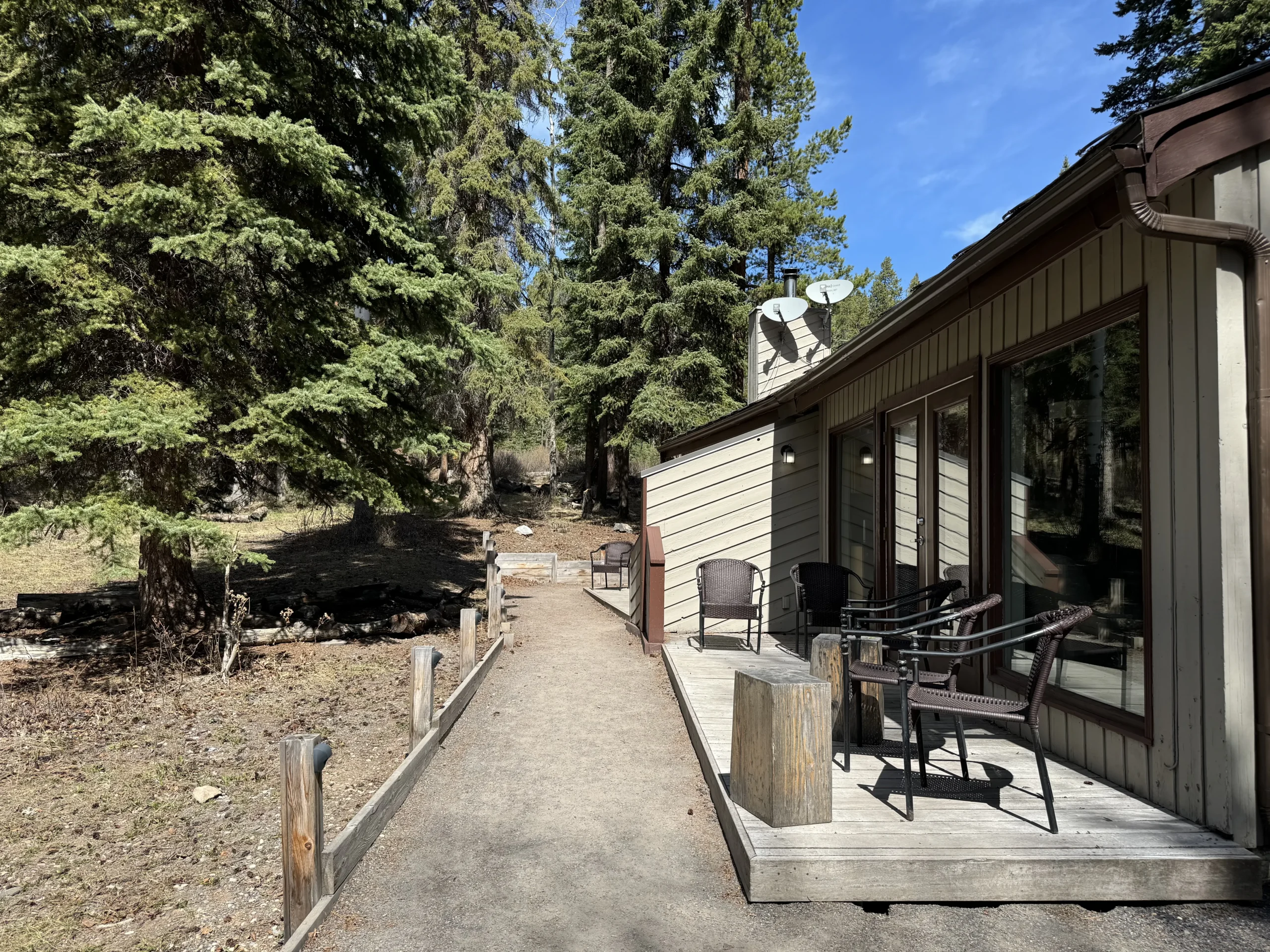 The Forest Cabins in the summer