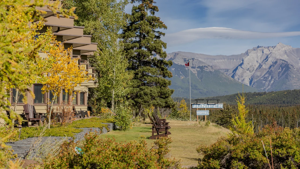 Fall colours at the Juniper
