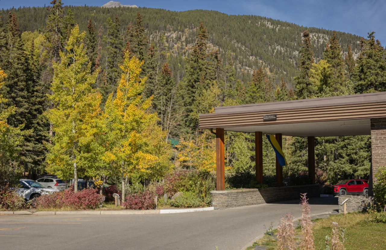 Car parking at the Juniper