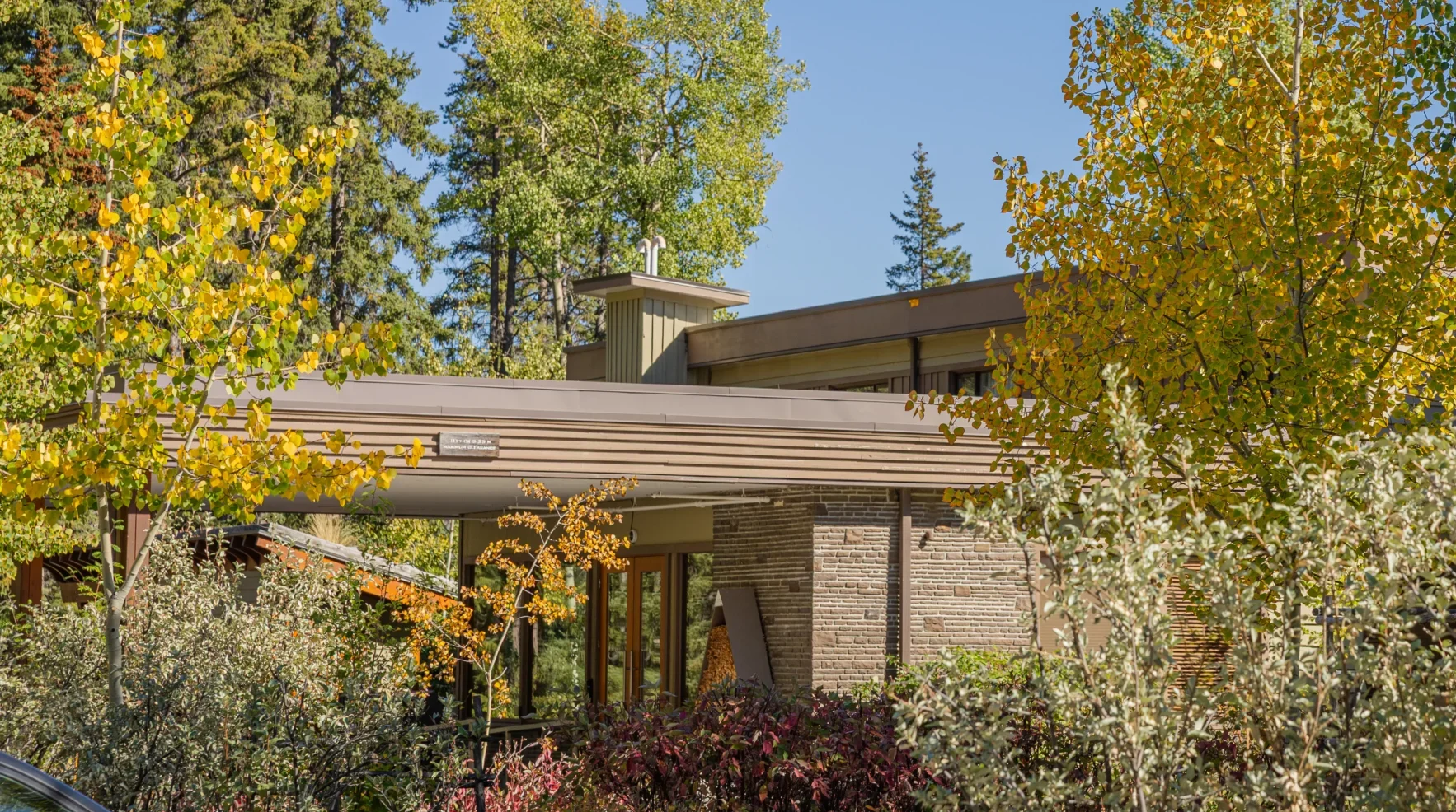 Fall colours at the Juniper