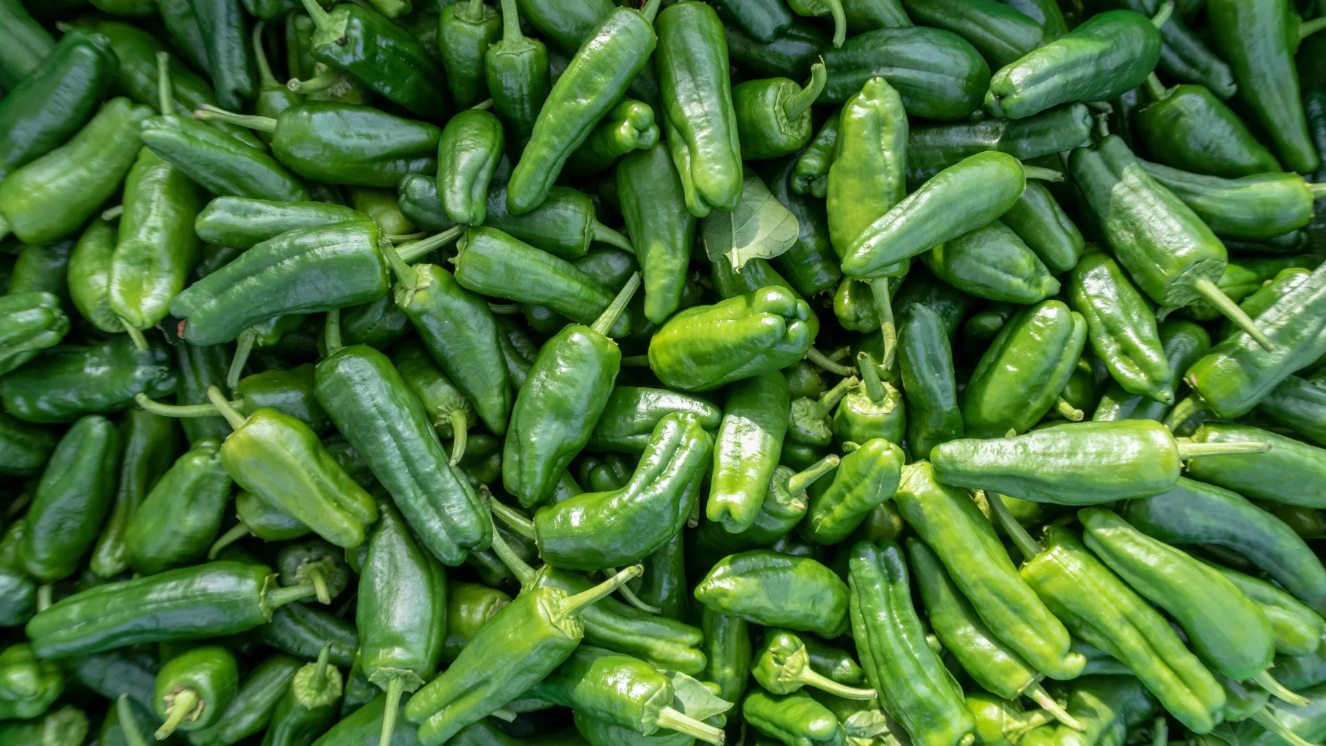 Chilis