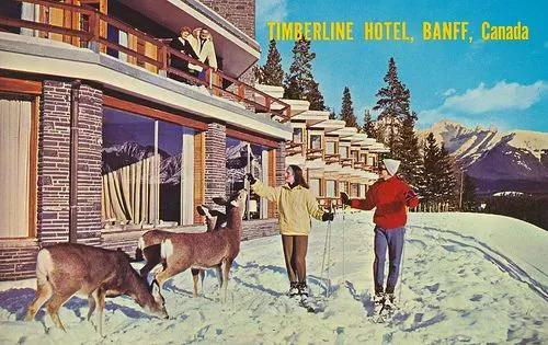 The Timberline Hotel