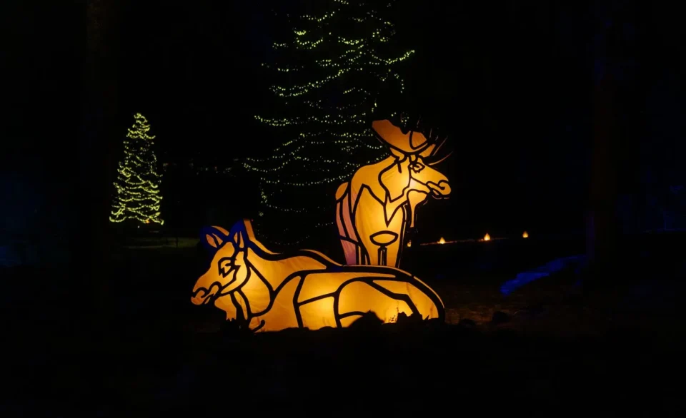 In Search of Christmas Spirit