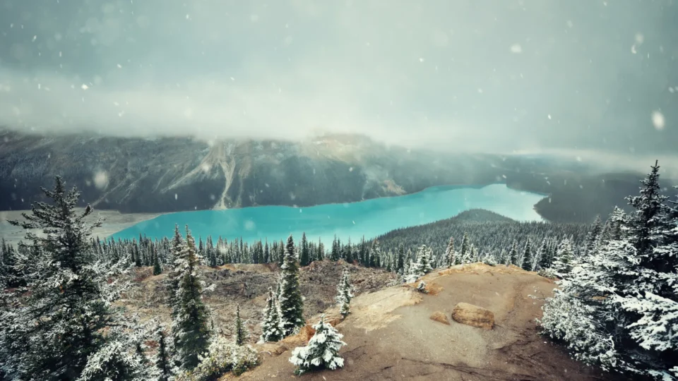 Peyto Lake Fall