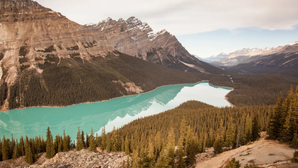 Peyto Lake Spring