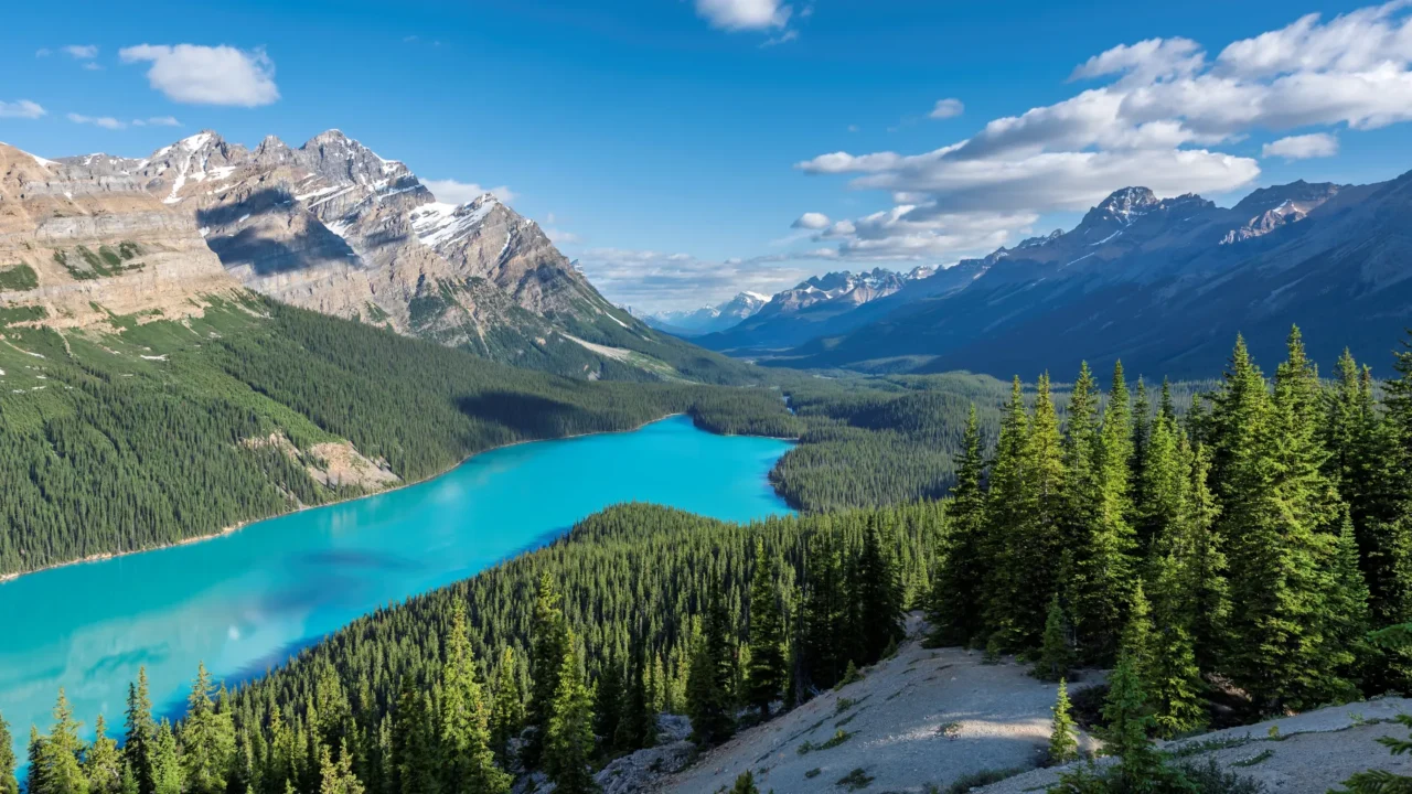 Peyto Lake Summer