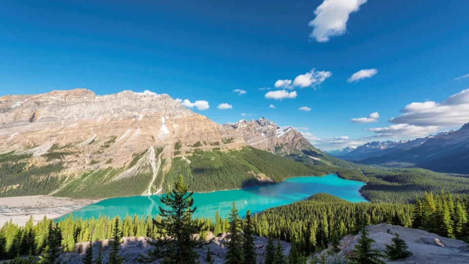 Peyto Lake Summer