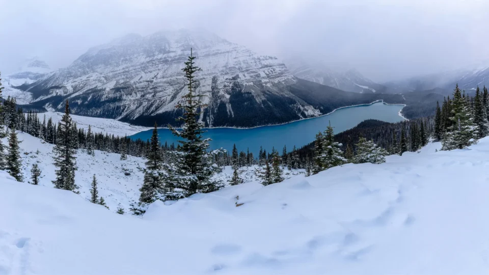 Peyto Lake Winter
