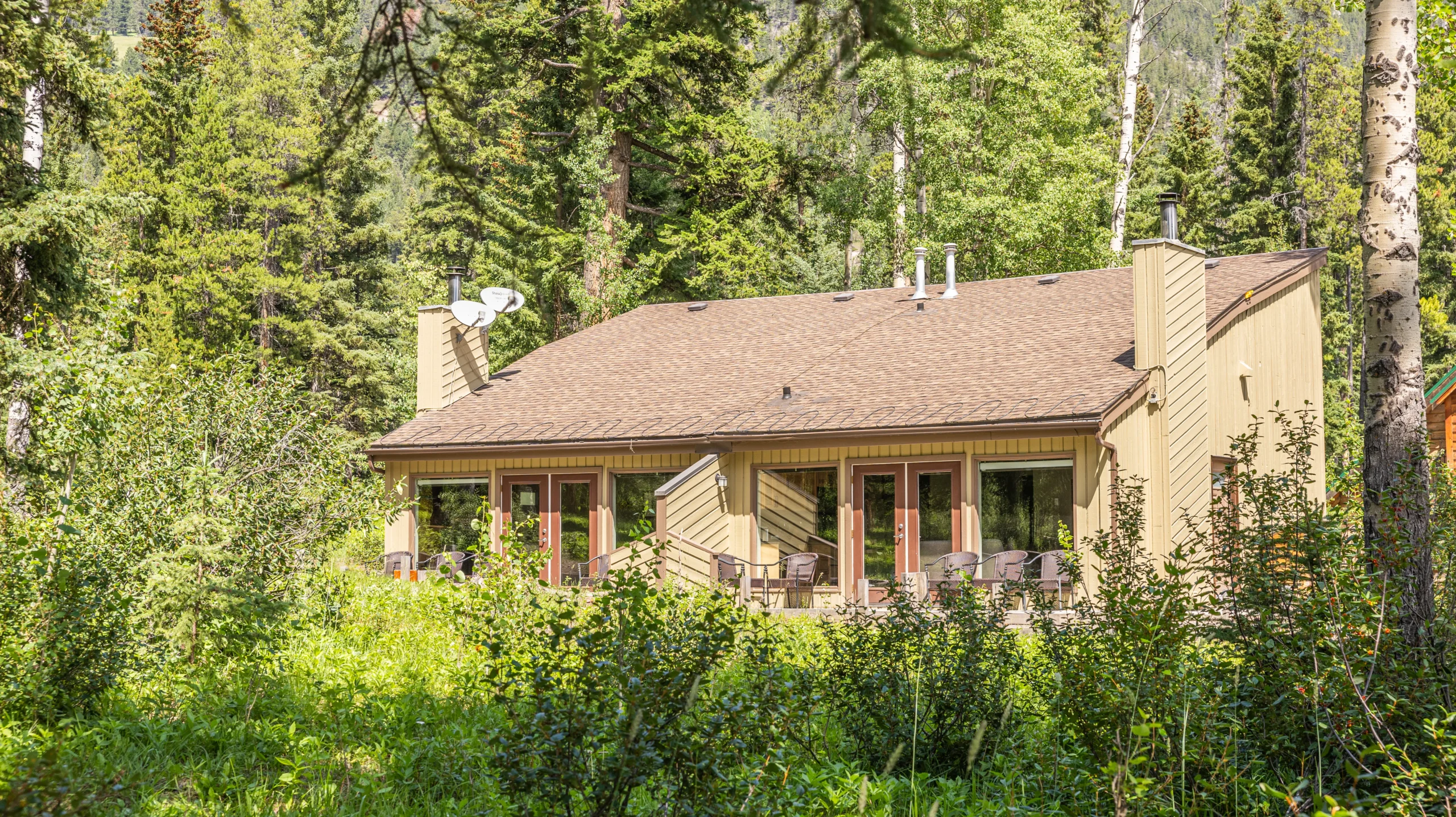 Forest cabins in summer