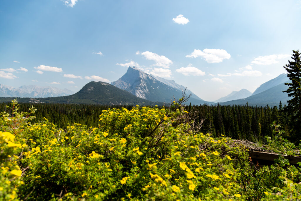 The panoramic views from the Juniper Hotel & Bistro