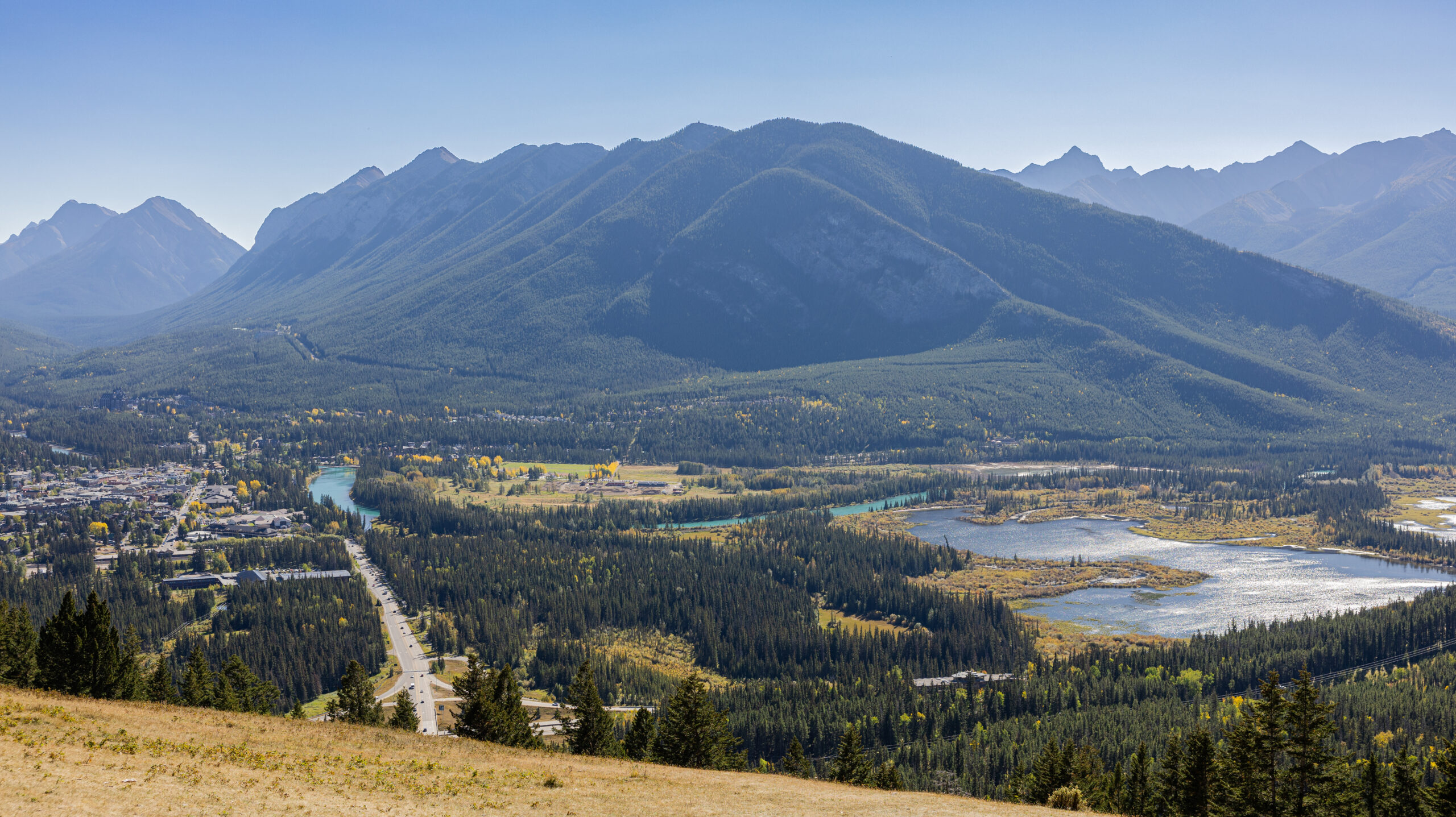 The Juniper with Banff in the background