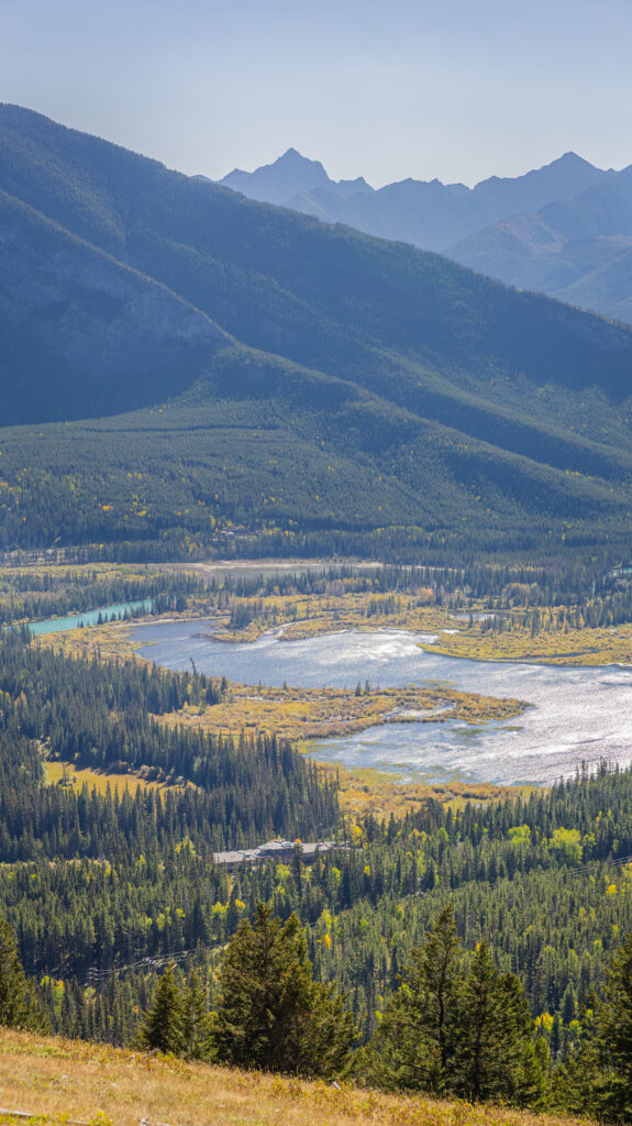 The Juniper with Vermilion Lakes and Sulphur Mountain as the backdrop