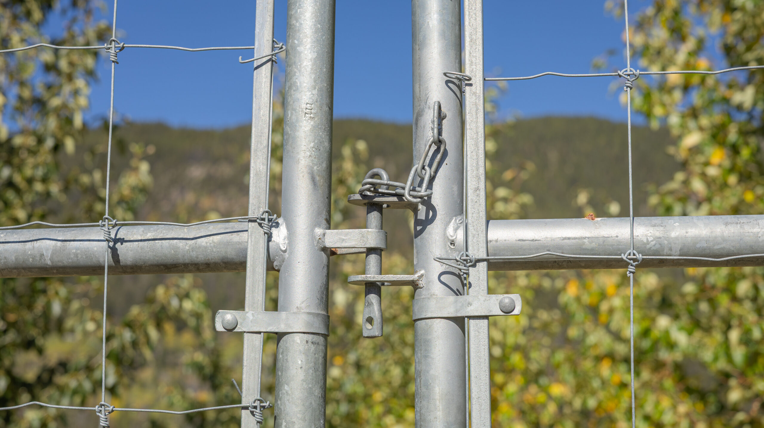 The chain on the gates