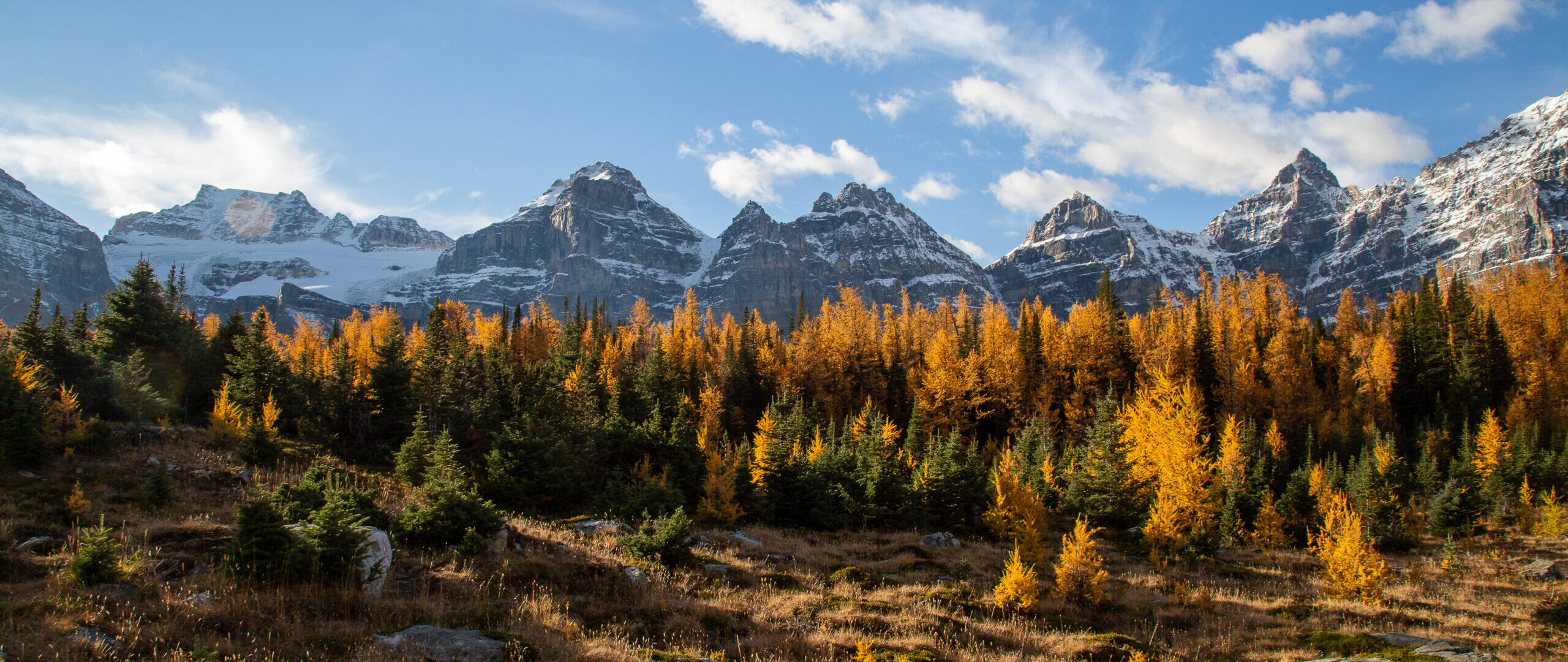 Photo of Larch Valley above Morraine Lake in Fall near Banff