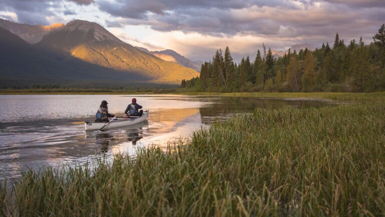 Photo Credit: ShannonMartin